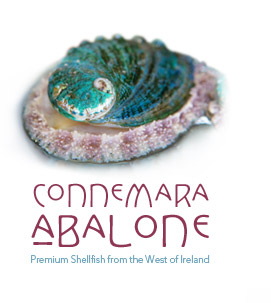 Irish Abalone